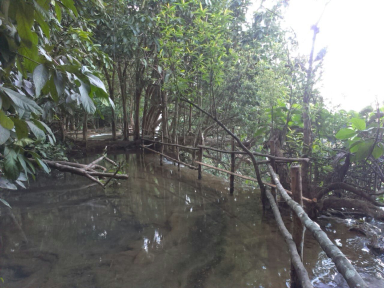 IMAG0719.jpg image
