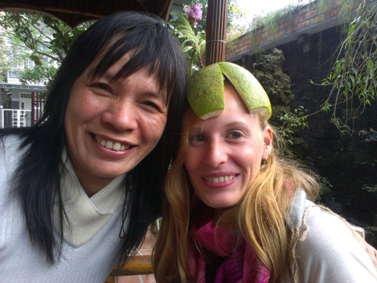 IMAG0933.jpg image