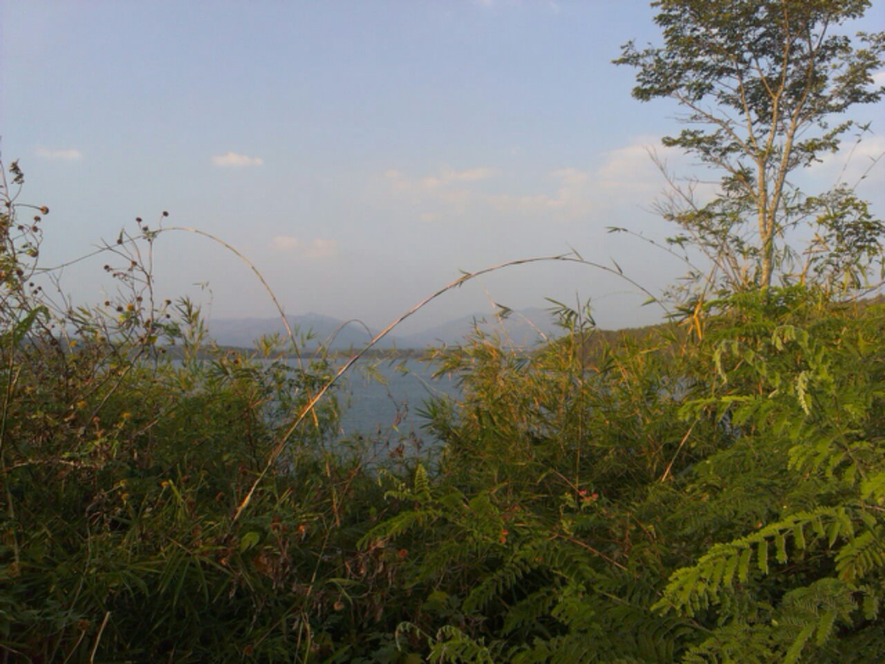 IMAG0952.jpg image