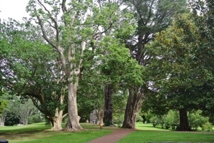 20140415-222332.jpg