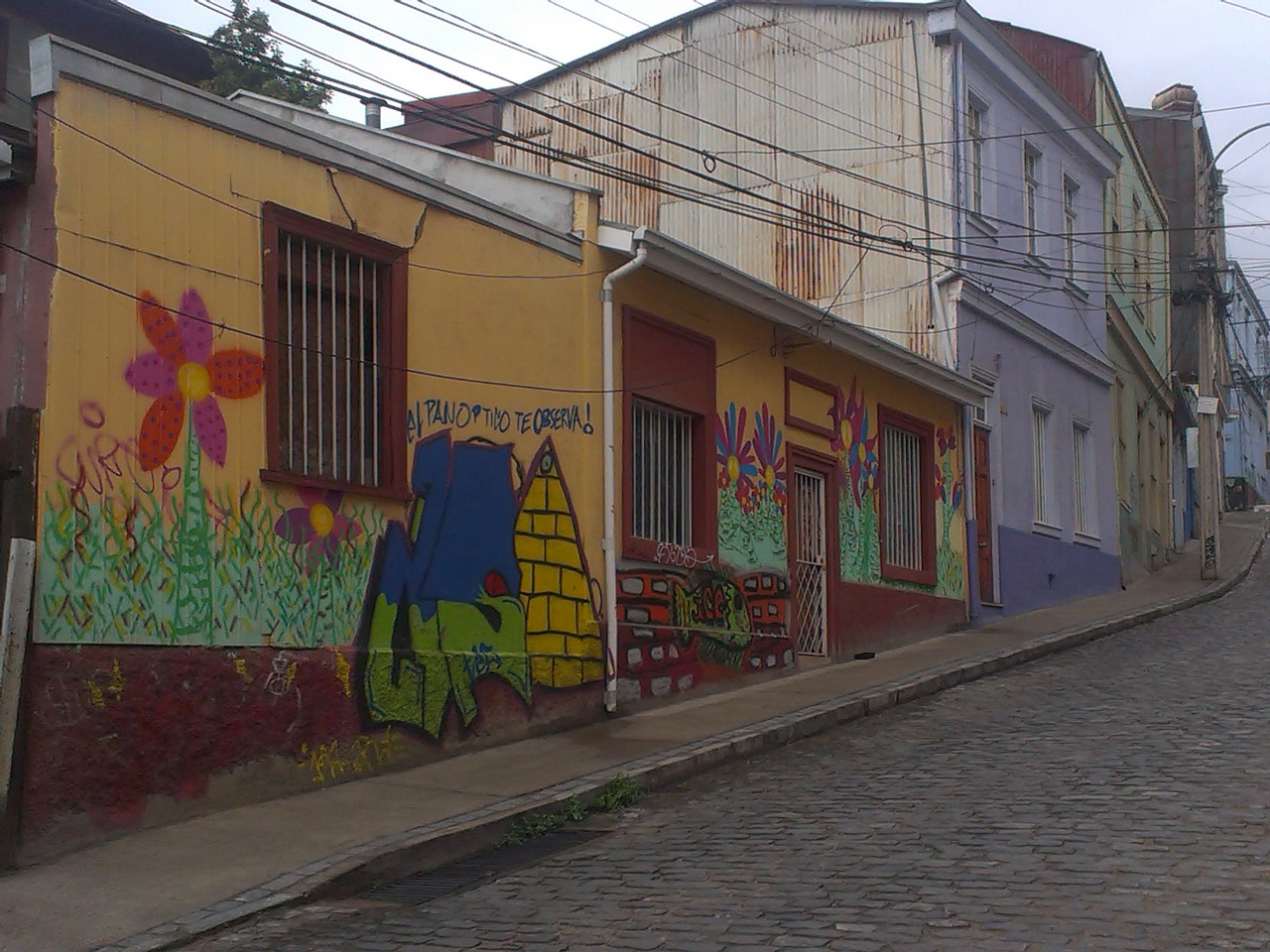 IMAG1523.jpg image
